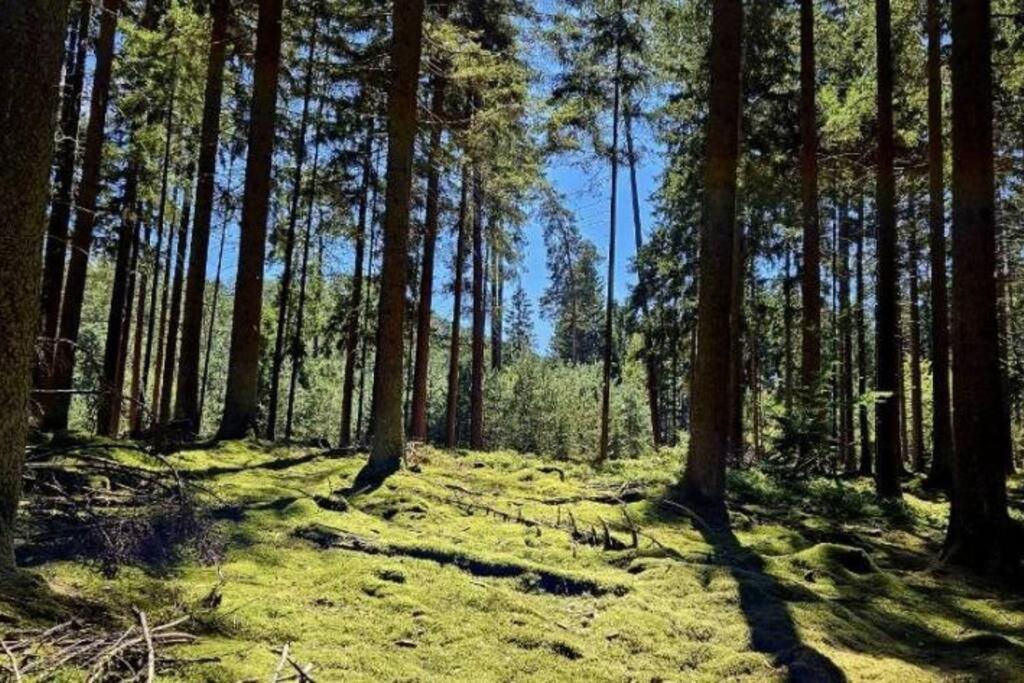 Corps De Ferme Traditionnel Лембак Экстерьер фото
